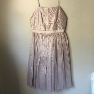 Banana Republic Heritage collection champagne party dress